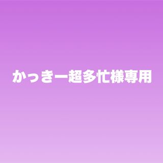 かっきー超多忙様専用(その他)