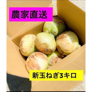 農家直送　新玉ねぎ　福岡県産　３キロ(野菜)