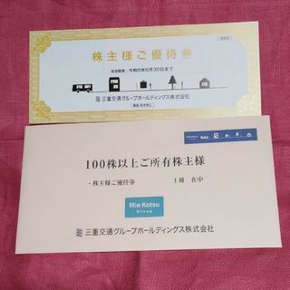 三重交通グループ株主優待券 1冊  100株優待(その他)