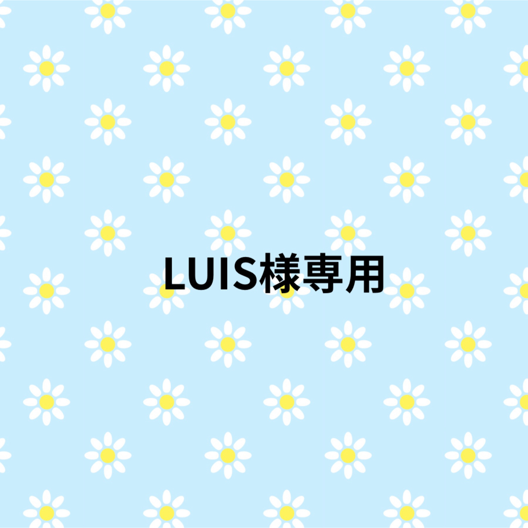 LUIS様専用③ レディースのレッグウェア(ソックス)の商品写真