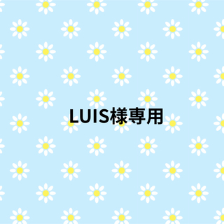LUIS様専用③(ソックス)