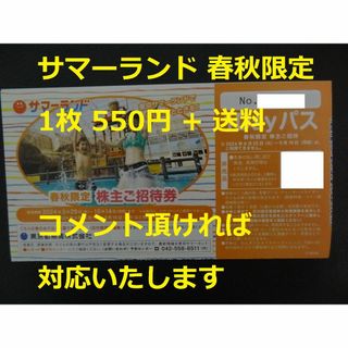 【1枚】サマーランド 春秋限定 ～2024.10.14(遊園地/テーマパーク)