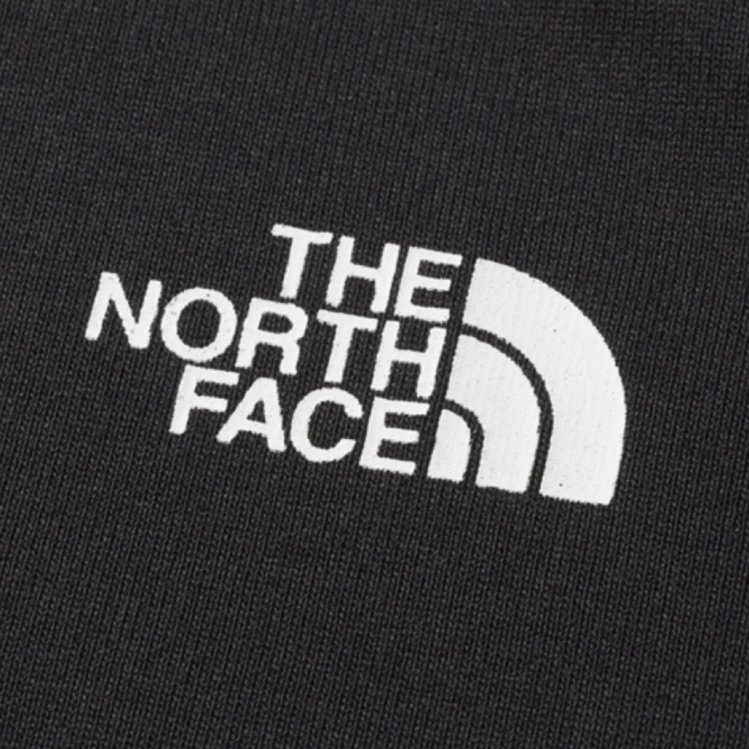 THE NORTH FACE(ザノースフェイス)のノースフェイス ショートスリーブ ナショナルフラッグティ Lサイズ メンズのトップス(Tシャツ/カットソー(半袖/袖なし))の商品写真