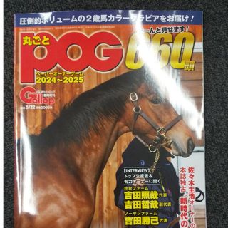 競馬 丸ごとPOG(趣味/スポーツ)