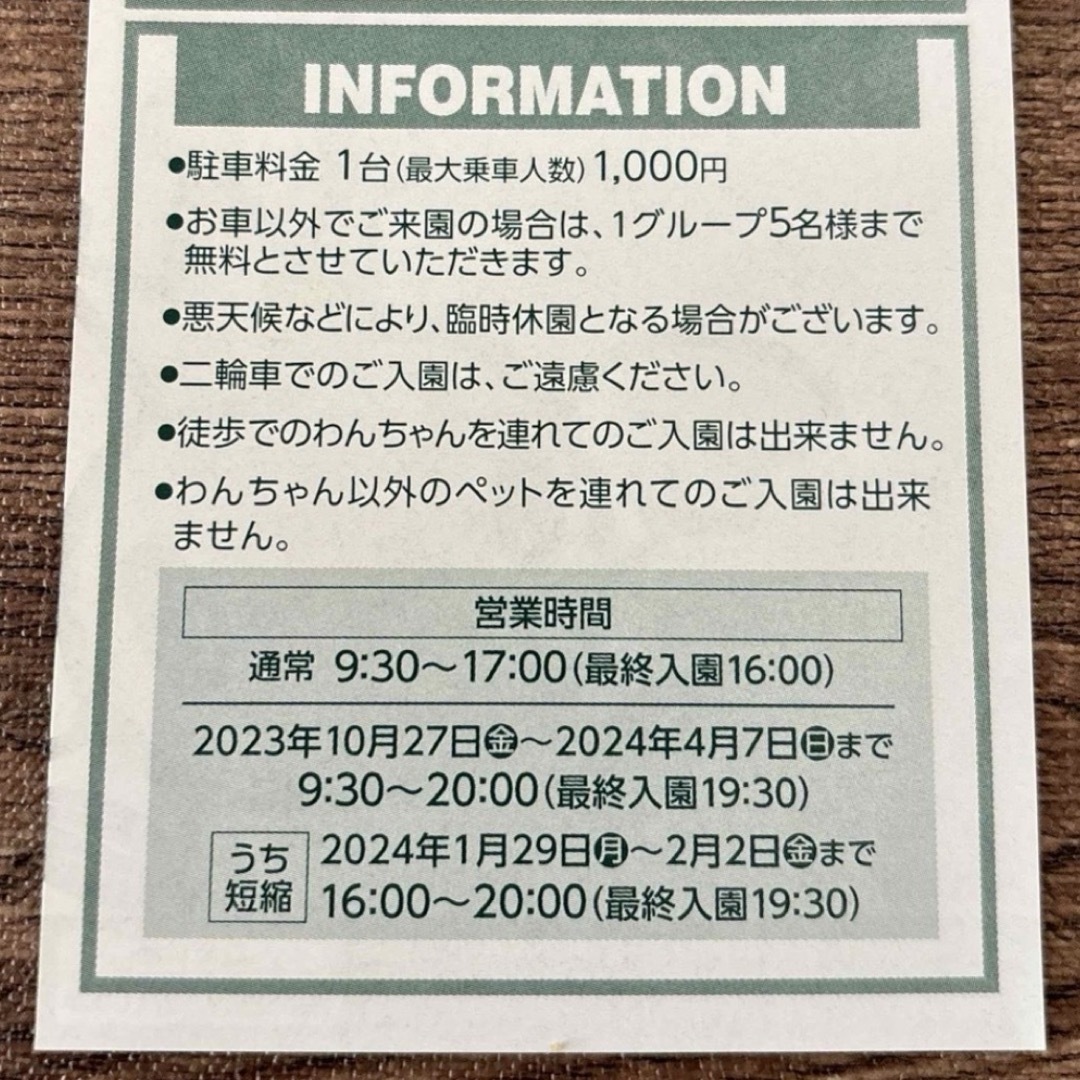 東京ドイツ村 チケット 入場 入園無料 招待券 2024.6.30まで チケットの施設利用券(遊園地/テーマパーク)の商品写真