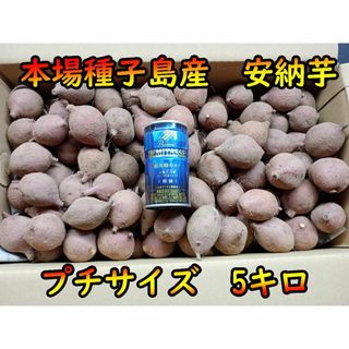 【本場】安納芋 紅プチサイズ　5キロ【種子島産】(野菜)