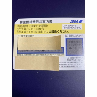 ANA(全日本空輸) - ANA株主優待券  1枚  有効期間:2023/12/1-2024/11/30