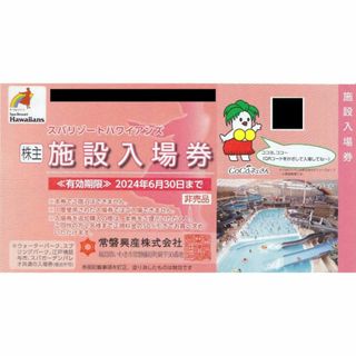 常磐興産株主優待 スパリゾートハワイアンズ入場券２枚+宿泊割引券等(遊園地/テーマパーク)