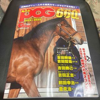 競馬 丸ごとPOG