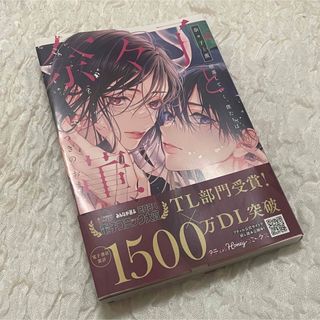 奈々子と薫　堕落していく、僕たちは。 つきのおまめ(女性漫画)