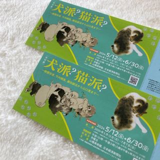 美術館 チケット  招待券  1枚