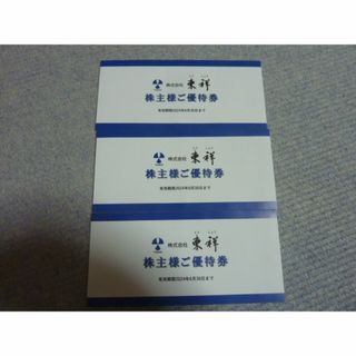 13時迄 即日発送 3枚 東祥 株主優待券ホリデースポーツクラブ株主様ご優待券(フィットネスクラブ)