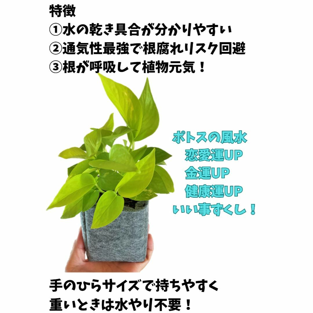 【色: ブラックxグレー】【息する植木鉢】パッと持つだけ簡単！水やりタイミングが その他のその他(その他)の商品写真