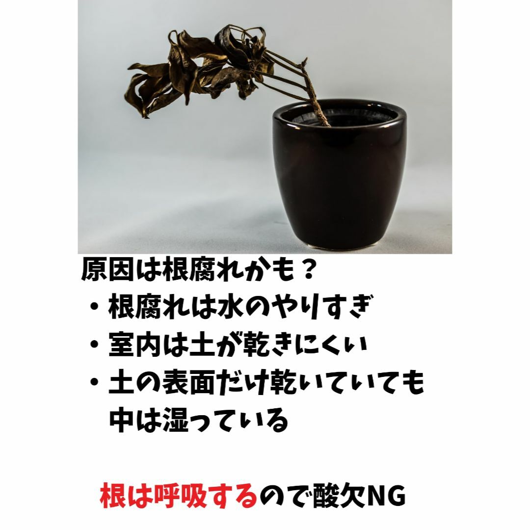 【色: ブラックxグレー】【息する植木鉢】パッと持つだけ簡単！水やりタイミングが その他のその他(その他)の商品写真