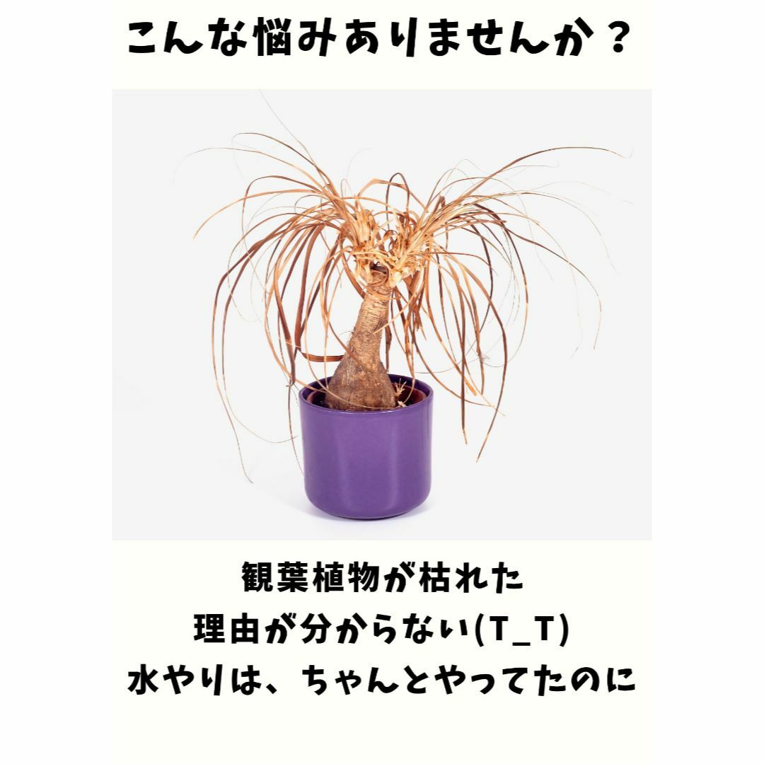 【色: ブラックxグレー】【息する植木鉢】パッと持つだけ簡単！水やりタイミングが その他のその他(その他)の商品写真