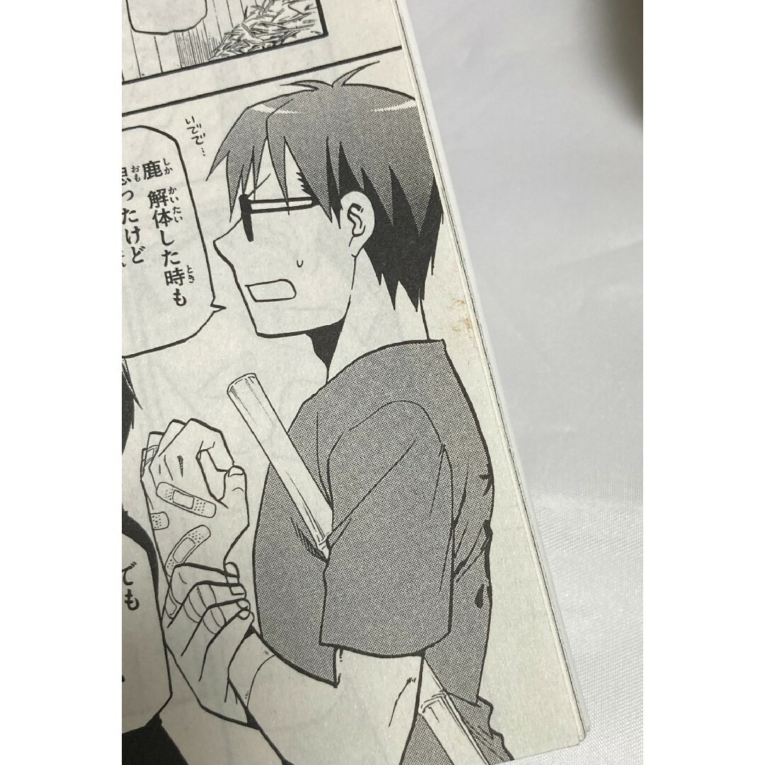 鋼の錬金術師　銀の匙　全巻　荒川弘 エンタメ/ホビーの漫画(全巻セット)の商品写真