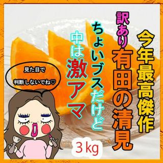 訳あり！減農薬!濃くて甘くて安心で安い！清見オレンジ きよみ 有田みかん 3kg(フルーツ)