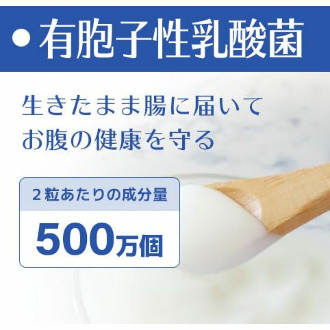 犬 毎日爽快 乳酸菌 サプリ 腸活 整腸 チキン味 60粒2袋 その他のペット用品(犬)の商品写真