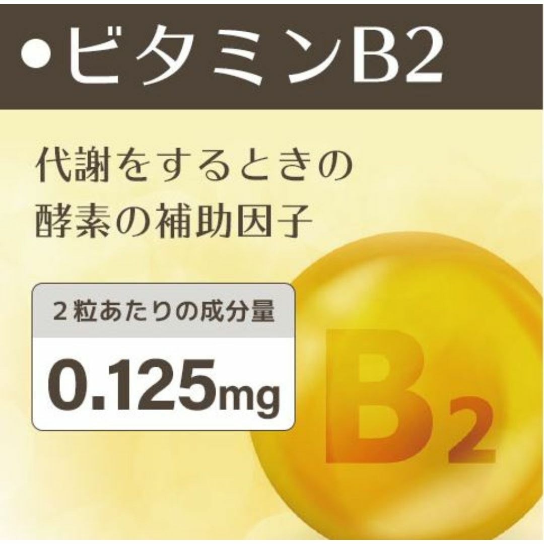 犬 毎日爽快 乳酸菌 サプリ 腸活 整腸 チキン味 60粒2袋 その他のペット用品(犬)の商品写真