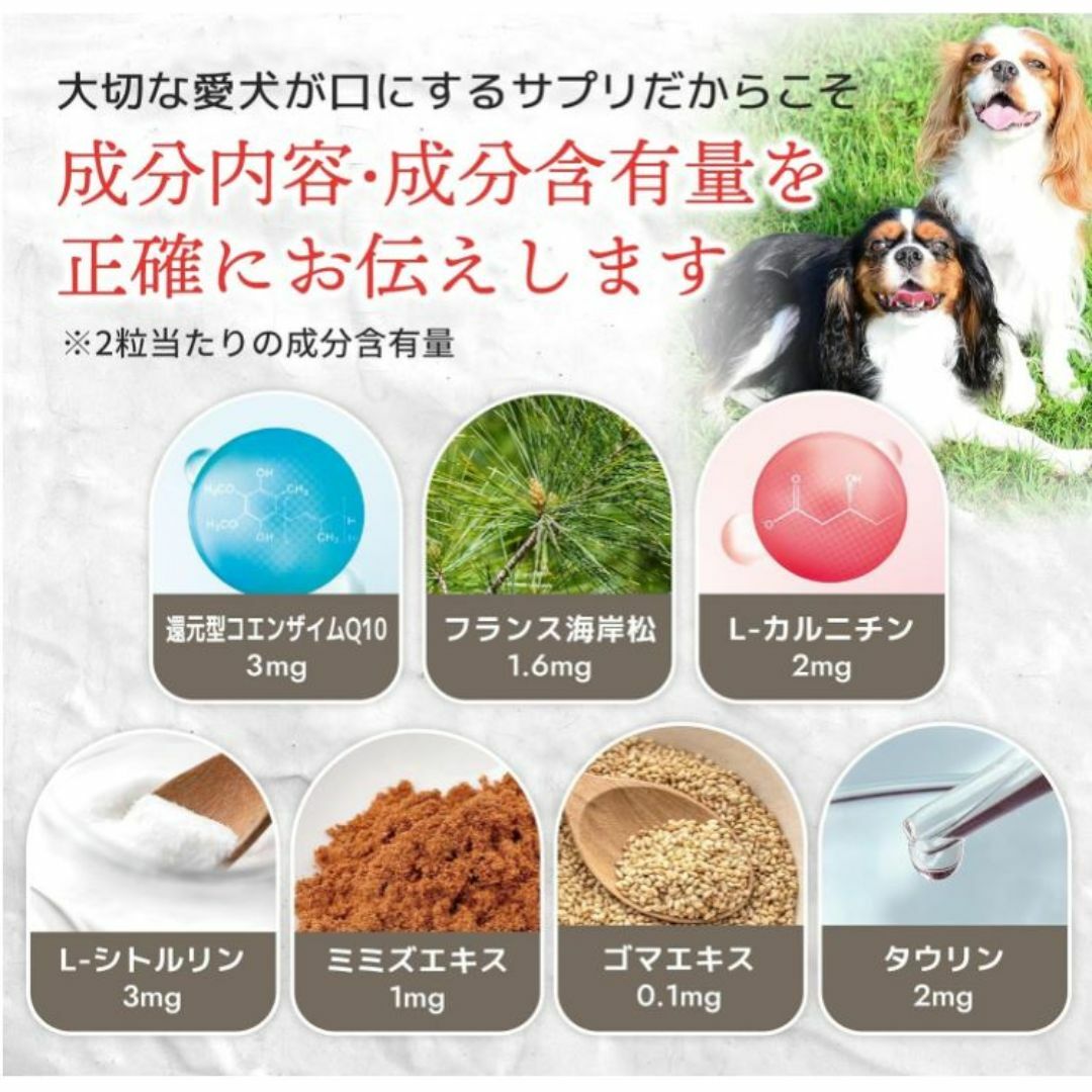 犬 毎日健心 還元型コエンザイムQ10 タウリン サプリチキン味 60粒2袋 その他のペット用品(犬)の商品写真