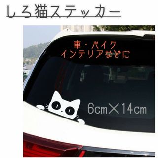 猫　ステッカー　2枚セット　白猫　車　窓ガラス　カーステッカー　防水　バイク