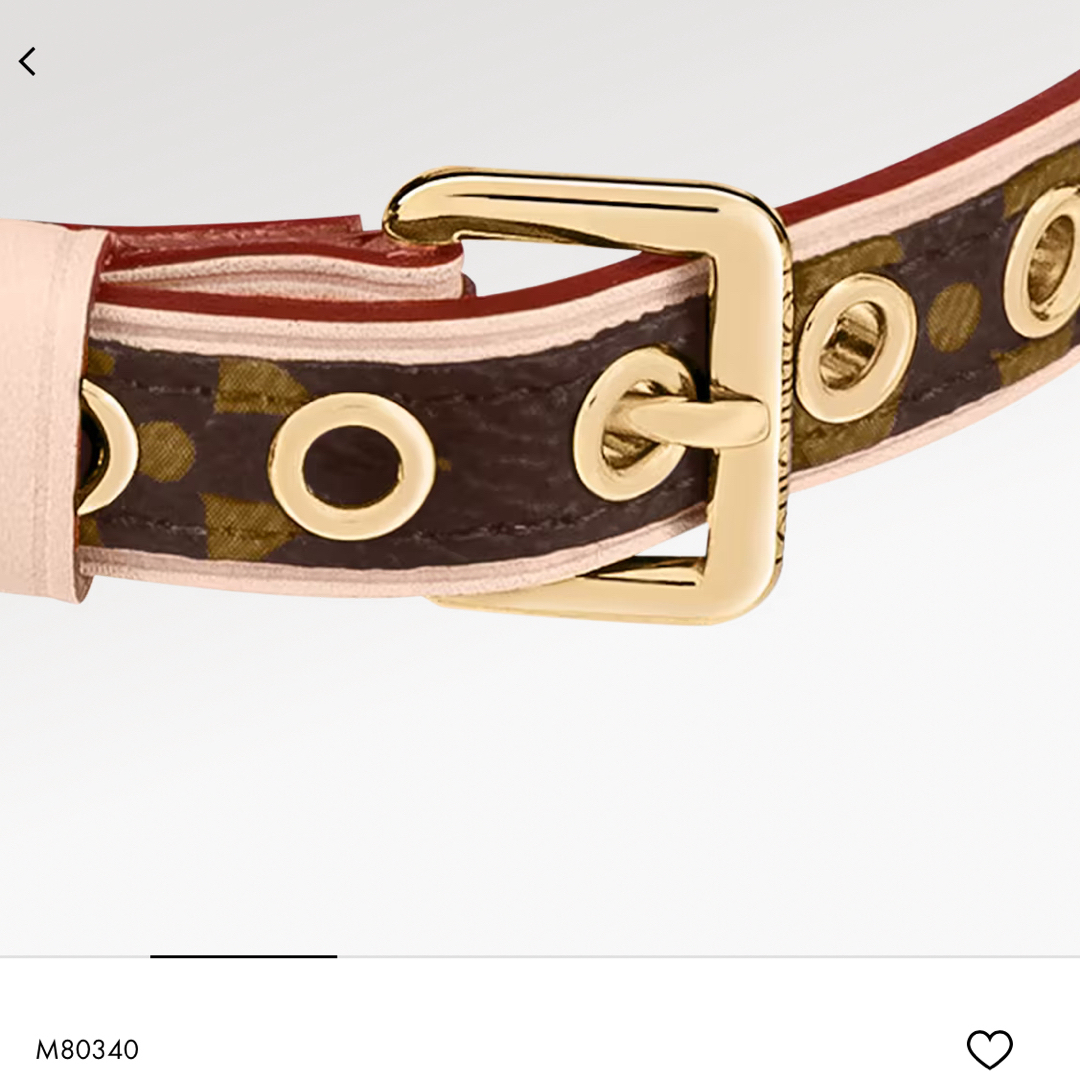 LOUIS VUITTON(ルイヴィトン)のLOUIS VUITTON ドッグ･カラー  新品未着用 ハンドメイドのペット(リード/首輪)の商品写真