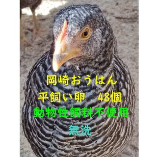 岡崎おうはん　平飼いたまご　48個　動物性飼料不使用　無洗(その他)