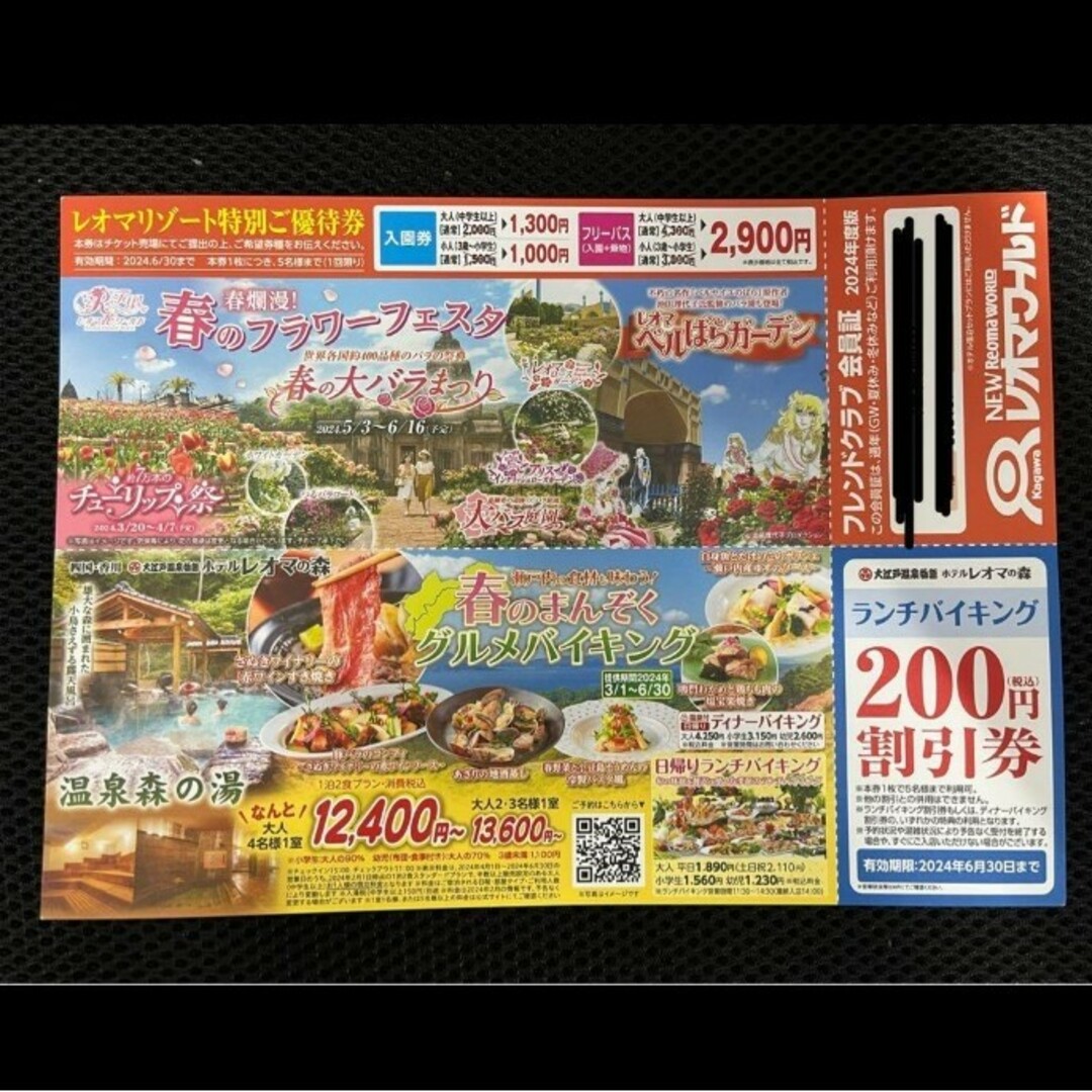 レオマワールド☆割引券 レディースのレディース その他(その他)の商品写真