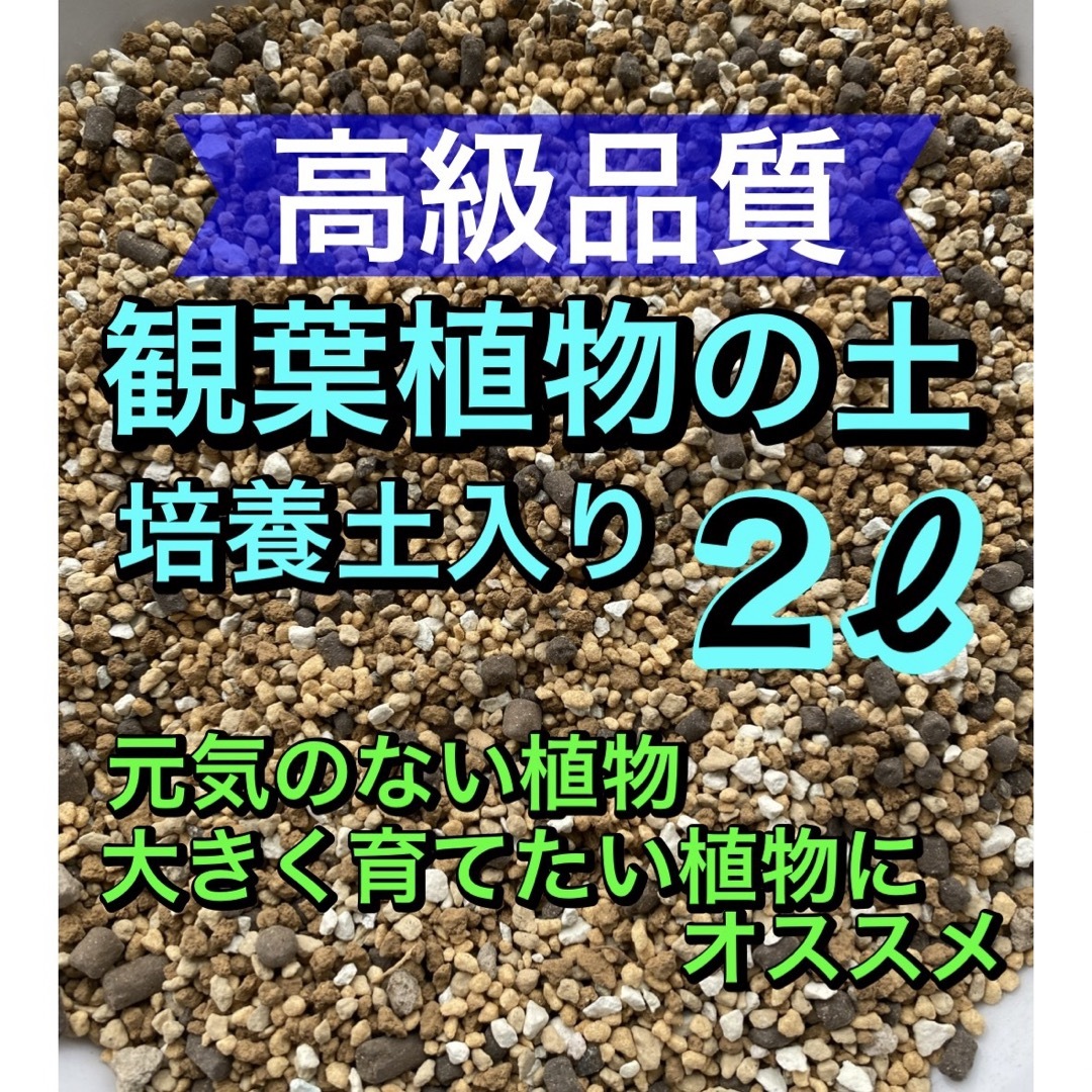 高級品質　観葉植物の土［培養土入］2ℓ オリジナル配合●細粒● ハンドメイドのフラワー/ガーデン(その他)の商品写真