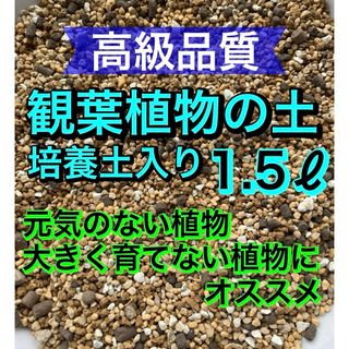 高級品質　観葉植物の土［培養土入］1.5ℓ オリジナル配合●細粒●(その他)