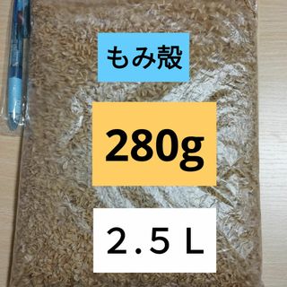 もみ殻　籾殻　２８０g   （２.５Ｌ以上）(その他)