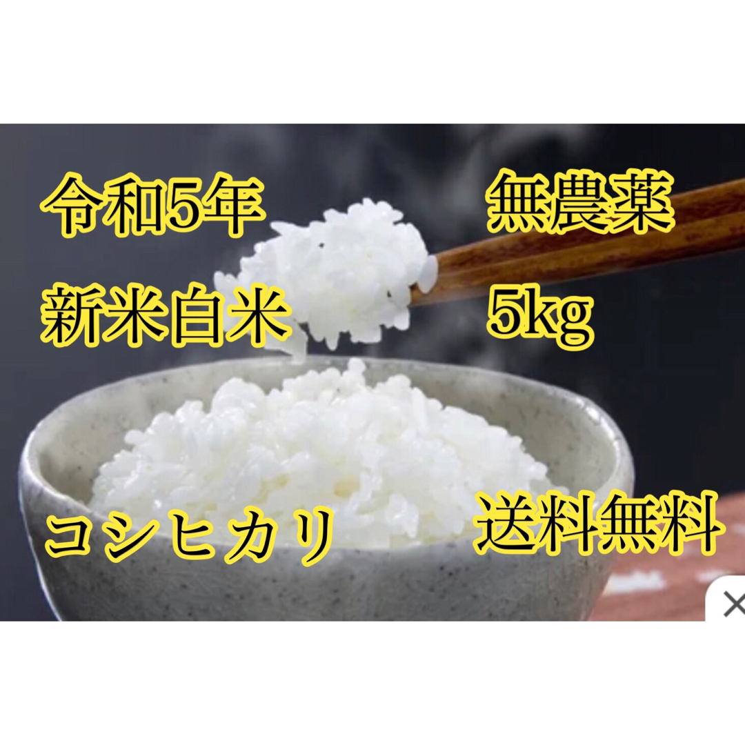 令和5年度産 新米白米コシヒカリ5kg  食品/飲料/酒の食品(米/穀物)の商品写真