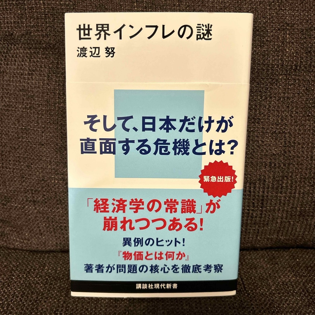 世界インフレの謎 エンタメ/ホビーの本(その他)の商品写真