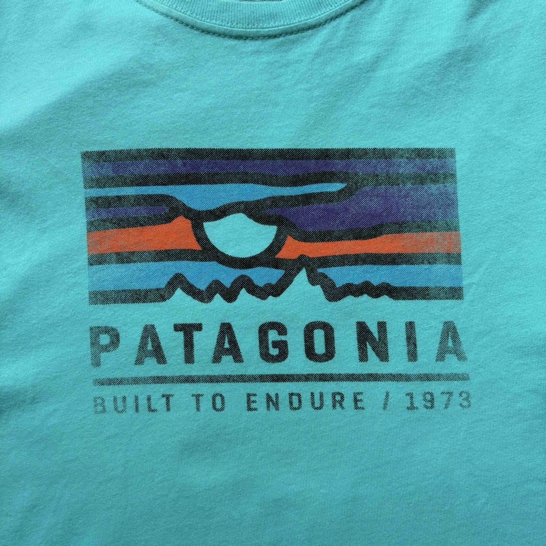 patagonia(パタゴニア)のPatagonia パタゴニア ロゴTEE メンズのトップス(Tシャツ/カットソー(半袖/袖なし))の商品写真