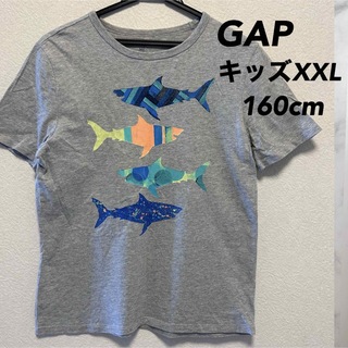 ギャップキッズ(GAP Kids)のGAP Tシャツ　160cm 150cm キッズ　サメ　グレー(Tシャツ/カットソー)