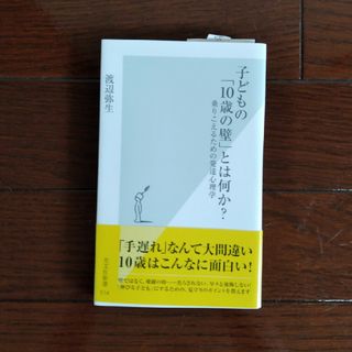 子どもの「１０歳の壁」とは何か？(その他)