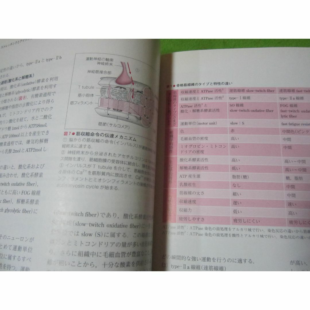 臨床スポーツ医学　2015-5　ストレッチングとアイシングその理論と実際　医学本 エンタメ/ホビーの本(健康/医学)の商品写真