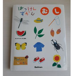 ガッケン(学研)のはっけんずかん　むし(絵本/児童書)