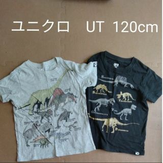 UNIQLO - 恐竜　半袖Tシャツ　2枚セット　120cm　 黒　グレー