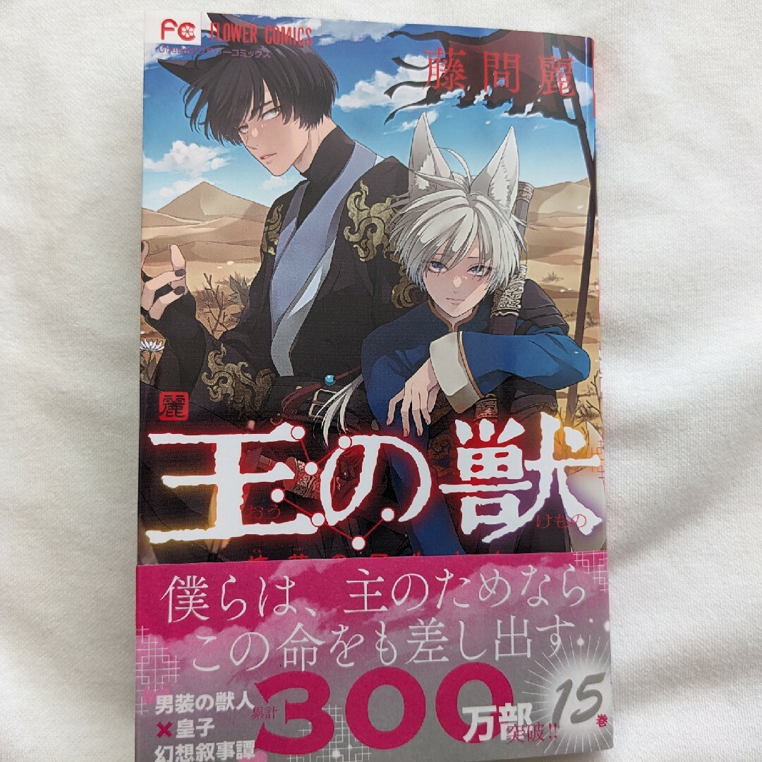 小学館(ショウガクカン)の王の獣１５巻 エンタメ/ホビーの漫画(少女漫画)の商品写真