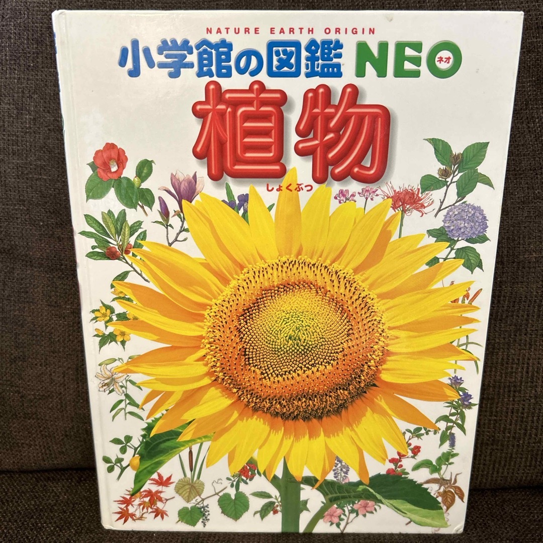 小学館の図鑑 NEO 植物 エンタメ/ホビーの本(その他)の商品写真