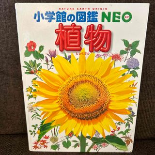 小学館の図鑑 NEO 植物(その他)