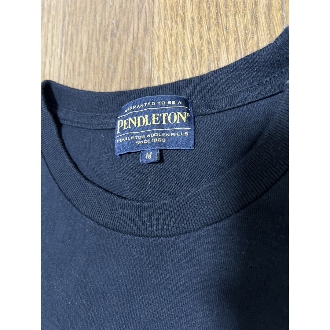 PENDLETON(ペンドルトン)のPENDLETON メンズ　Mサイズ　美品   メンズのトップス(Tシャツ/カットソー(半袖/袖なし))の商品写真