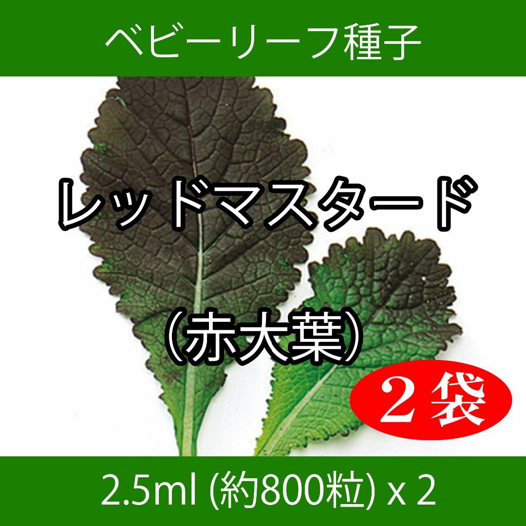 ベビーリーフ種子 B-33 レッドマスタード（赤大葉） 2.5ml x 2袋 食品/飲料/酒の食品(野菜)の商品写真