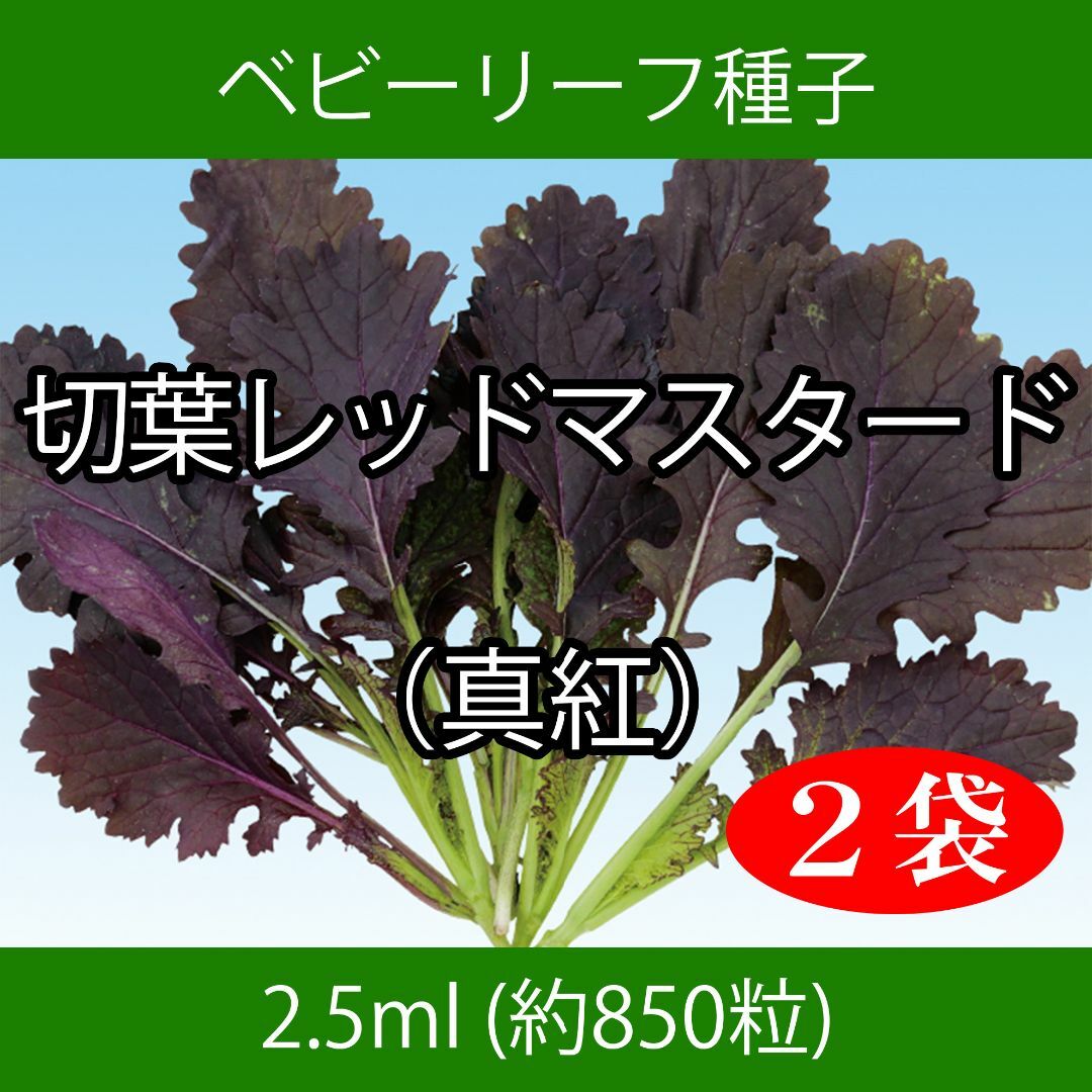 ベビーリーフ種子 B-49 切葉レッドマスタード（真紅） 2.5mlx2袋 食品/飲料/酒の食品(野菜)の商品写真