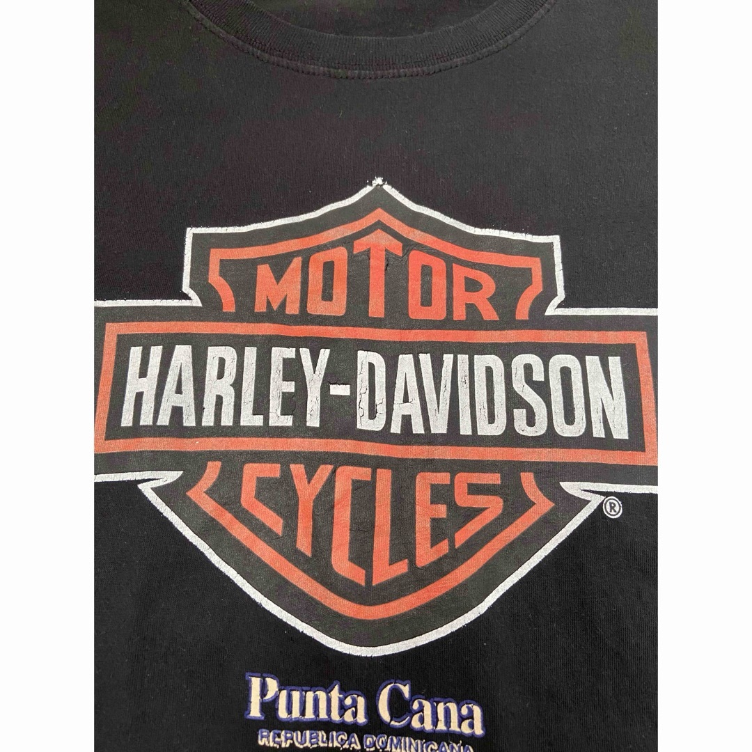 Harley Davidson(ハーレーダビッドソン)のハーレーダビッドソン　Tシャツ メンズのトップス(Tシャツ/カットソー(半袖/袖なし))の商品写真