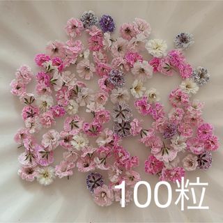 ピンク系 かすみ草ドライフラワー100粒(ドライフラワー)