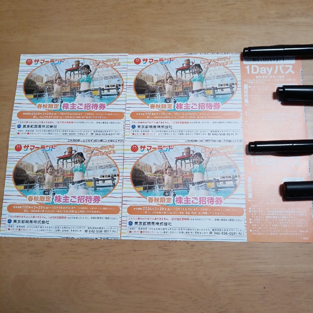 サマーランド株主優待券4枚 チケットの施設利用券(遊園地/テーマパーク)の商品写真