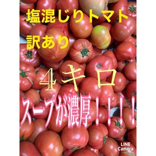塩混じりトマト　熊本八代　訳ありトマト4キロ(野菜)