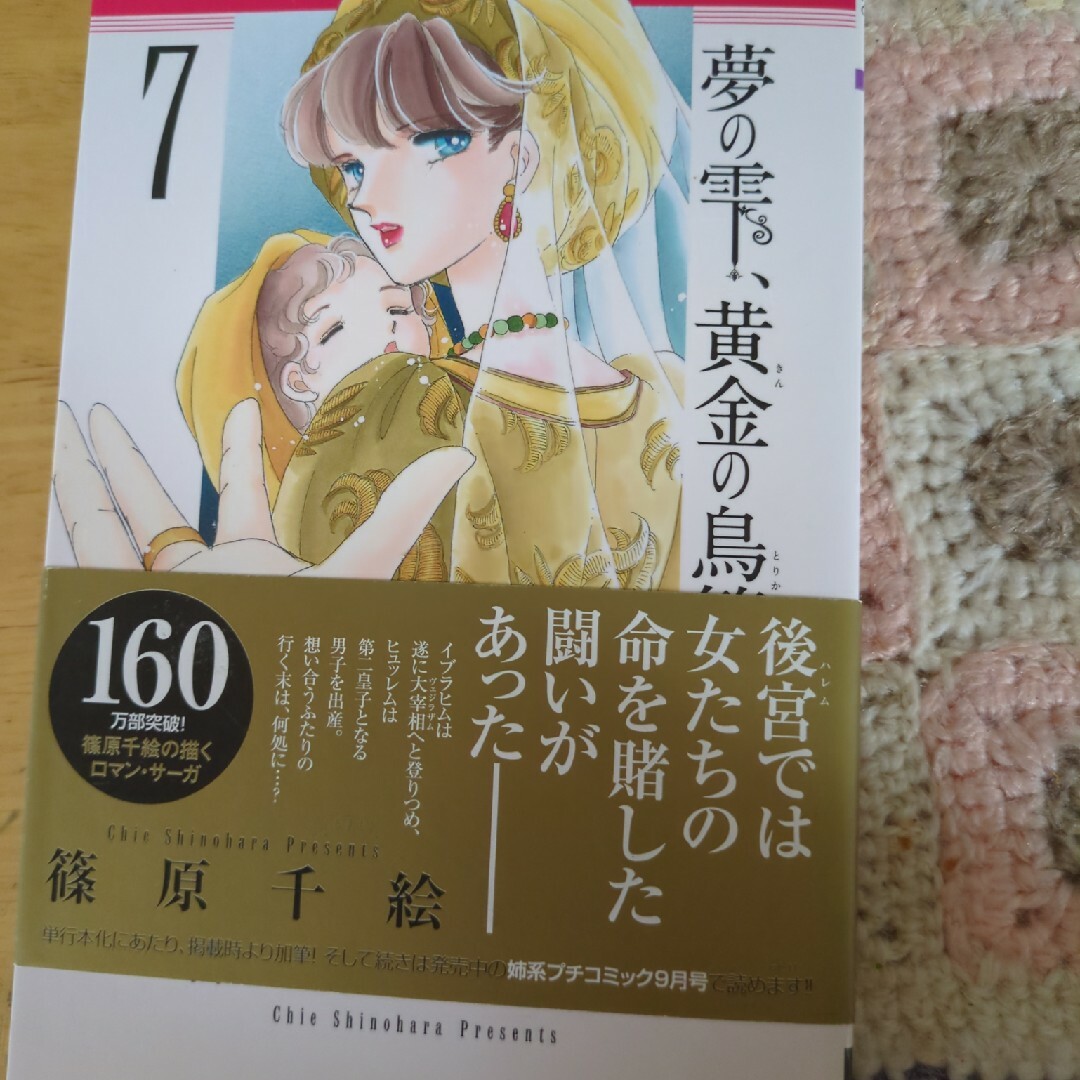 小学館(ショウガクカン)の夢の雫、黄金の鳥籠　７巻 エンタメ/ホビーの漫画(その他)の商品写真